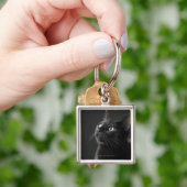 Zwarte kat tegen zwarte achtergrond, close-up sleutelhanger (Hand)