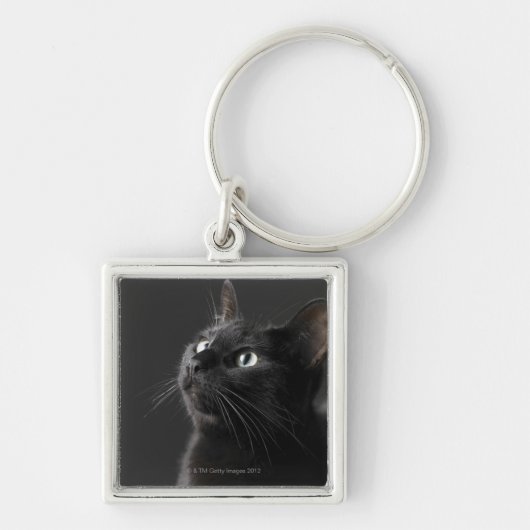 Zwarte kat tegen zwarte achtergrond, close-up sleutelhanger (Voorkant)