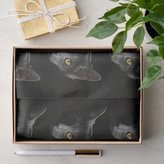 Zwarte kat tissuepapier (Geschenk)