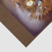zwarte kat tissuepapier (Detail)
