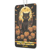 Zwarte kat tussen gloeiende pompoenen in de scheme luchtverfrisser (Links)