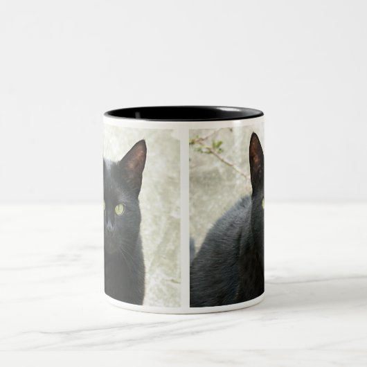 Zwarte kat tweekleurige koffiemok (Center)