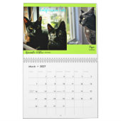 Zwarte kat van de World 2018-agenda Kalender (Mar 2027)