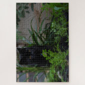 Zwarte kat Verborgen in de Planten, 1014 stuks Legpuzzel (Verticaal)