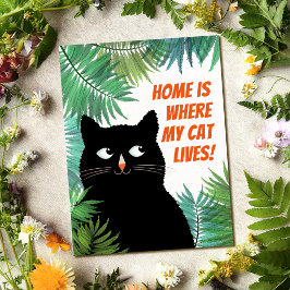 Zwarte kat verhuisbericht briefkaart