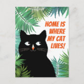 Zwarte kat verhuisbericht briefkaart (Voorkant)