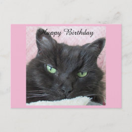 Zwarte Kat Verjaardagsansichtkaart Briefkaart