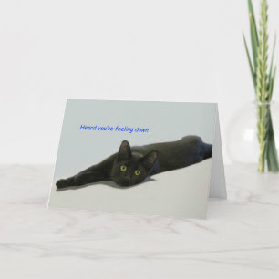 Zwarte kat verspreid over de vloer kaart