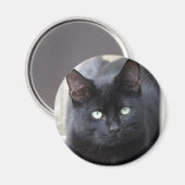 Zwarte kat vertrouwd magneet (Voorkant / Achterkant)