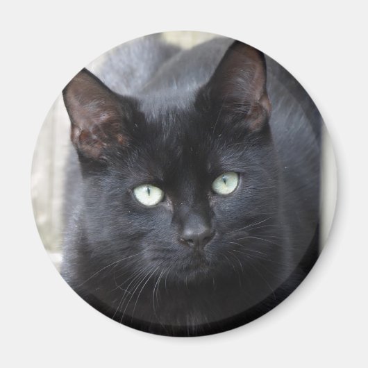 Zwarte kat vertrouwd magneet (Voorkant)