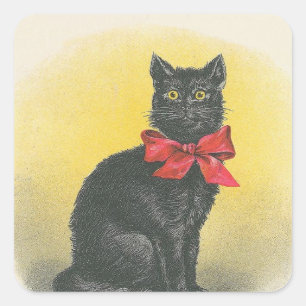 Zwarte kat vierkante sticker