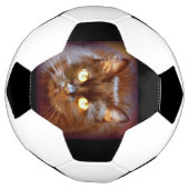 zwarte kat voetbal (Gedraaid)