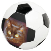 zwarte kat voetbal (Drie kwart)