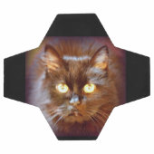 zwarte kat voetbal (Enkel)