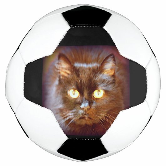 zwarte kat voetbal (Voorkant)