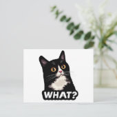 Zwarte Kat Wat? Briefkaart (Staand voorkant)