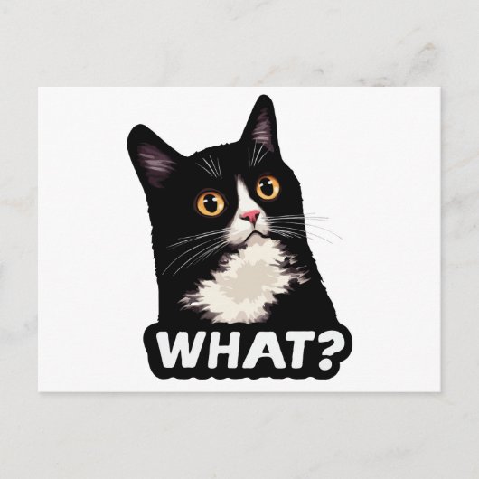 Zwarte Kat Wat? Briefkaart (Voorkant)