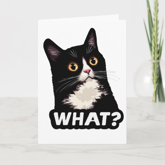 Zwarte Kat Wat? Kaart (Voorkant)