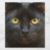 Zwarte kat wijn etiket (Enkel label)