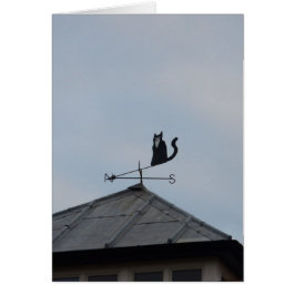 Zwarte Kat Windwijzer