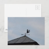 Zwarte Kat Windwijzer Briefkaart (Voorkant / Achterkant)