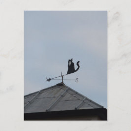 Zwarte Kat Windwijzer Briefkaart