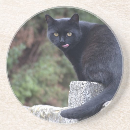 Zwarte kat zandsteen onderzetter (Voorkant)