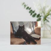 Zwarte kat ziet eruit als een baas briefkaart (Staand voorkant)