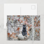 Zwarte kat zit buiten briefkaart (Voorkant / Achterkant)