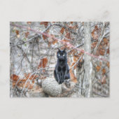 Zwarte kat zit buiten briefkaart (Voorkant)