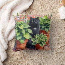 Zwarte kat Zittend in Hosta Garden Kattenliefhebbe