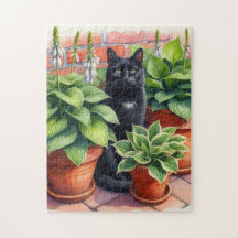 Zwarte kat zittend in Hosta tuin