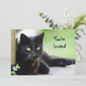  zwarte katfoto Birthday Kaart (Staand voorkant)