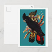 zwarte katkatoeno | Elizabeth Gould 1800 Pos Briefkaart (Voorkant / Achterkant)