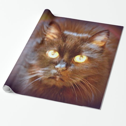 zwarte kattebak cadeaupapier (Uitgerold)