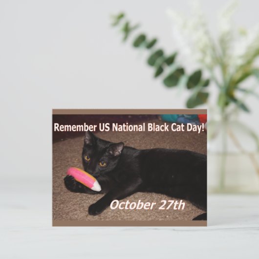 Zwarte kattedag briefkaart (Staand voorkant)