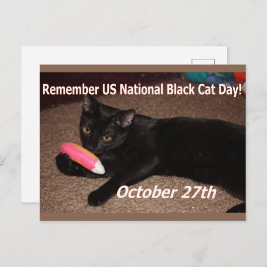 Zwarte kattedag briefkaart (Voorkant / Achterkant)
