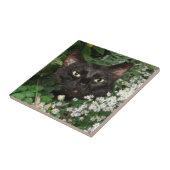 Zwarte kattegel tegeltje (Zijkant)