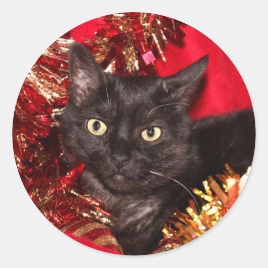 Zwarte kattekerst ronde sticker (Voorkant)