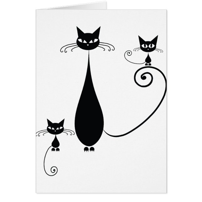 Zwarte katten (Voorkant)