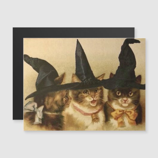  zwarte katten (Voorkant / Achterkant)