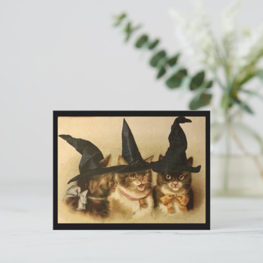  zwarte katten briefkaart (Staand voorkant)