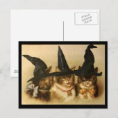  zwarte katten briefkaart (Voorkant / Achterkant)