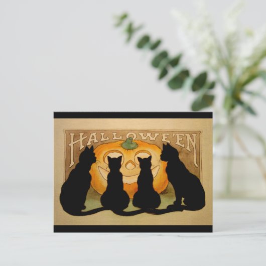 Zwarte katten en een Jack O'Lantern Briefkaart (Staand voorkant)