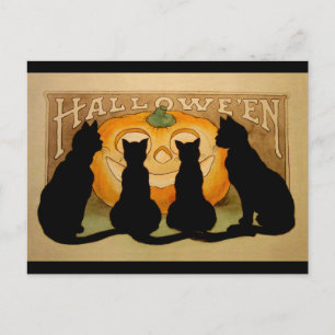 Zwarte katten en een Jack O'Lantern Briefkaart