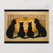 Zwarte katten en een Jack O'Lantern Briefkaart (Voorkant)