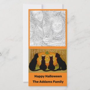 Zwarte katten en pompoen Vintage Halloween Feestdagenkaart