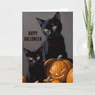 Zwarte katten en pompoenen feestdagen kaart