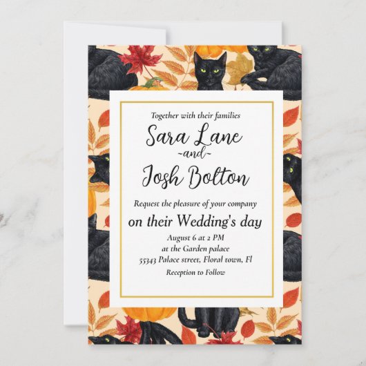 Zwarte katten en pompoenen kaart (Voorkant)