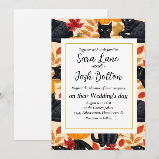 Zwarte katten en pompoenen kaart (Voorkant / Achterkant)